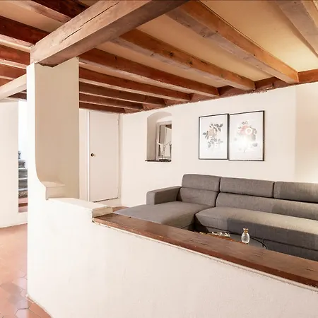 Santo Spirito Jungle Apartment Florence