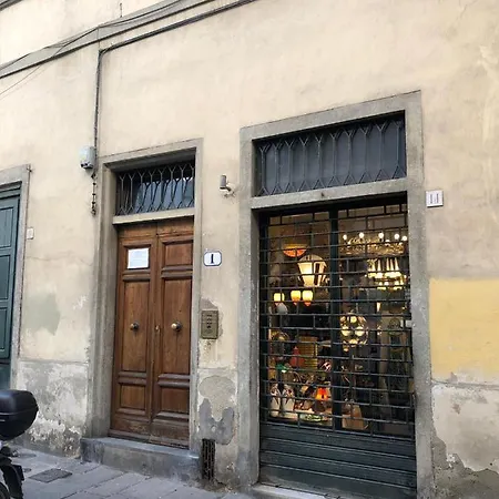 Santo Spirito Jungle * Florence